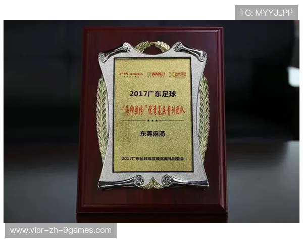 2026年网球青训导师带教档案平台新增学员成长印记功能,网球教练视频教程