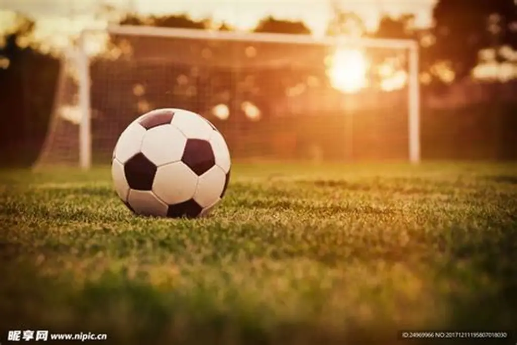 九游体育 (中国)官方网站 - 9 SPORTS